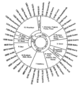 Roue des saveurs de Meilgaard.png